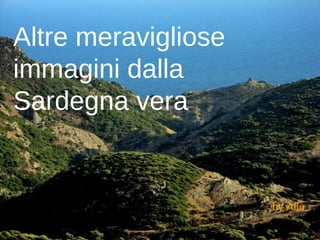 Altre meravigliose
immagini dalla
Sardegna vera


                     by Aflo
 