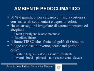 AMBIENTE PEDOCLIMATICO 50 % è granitico, poi calcareo e  fascia costiera si con  materiali sedimentari e depositi  eolici. Ha un susseguirsi irregolare di catene montuose ed altopiani Ovest prevalgono le aree montuose  Est più collinare Il fiume TIRSO che sfocia nel golfo di Oristano. Piogge copiose in inverno, scarse nel periodo estivo Estati  : lunghe – calde – asciutte – ventilate Inverni : brevi – piovosi – miti eccetto zone  elevate 