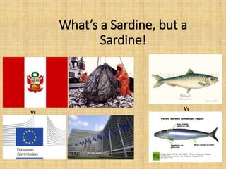 What’s a Sardine, but a
Sardine!
Vs
Vs
 