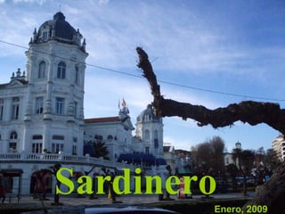Enero, 2009 Sardinero 