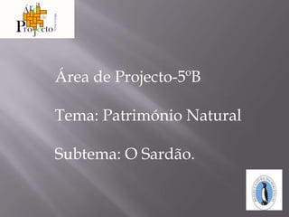 Área de Projecto-5ºB  Tema: Património Natural Subtema: O Sardão. 