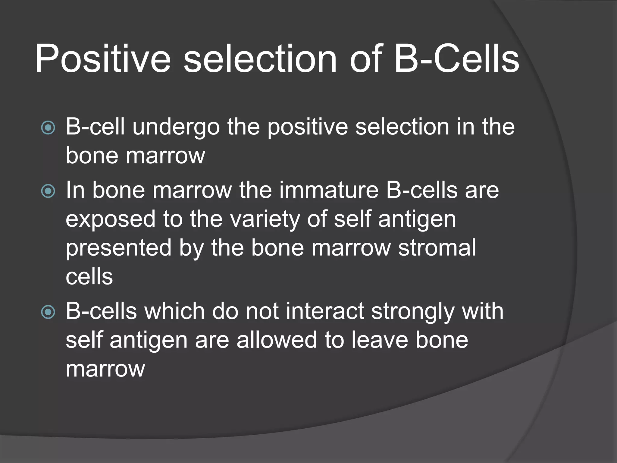 Positive selection of B-Cells
 B-cell undergo the positive selection in the
bone marrow
 In bone marrow the immature B-cells are
exposed to the variety of self antigen
presented by the bone marrow stromal
cells
 B-cells which do not interact strongly with
self antigen are allowed to leave bone
marrow
 