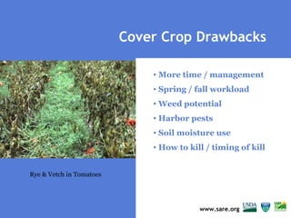 SARE Cover Crops Powerpoint