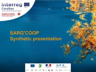 SARG'COOP
Synthetic presentation
 