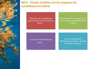 WP 2 - Cluster Caribéen sur les sargasses de
surveillance et d’alerte
Définition des modalités de
gouvernance et d’animation du
forum
Marché pour la conception et la
mise en place de la plate-forme
en ligne
Lancement des activités du
forum
Mise en œuvre de la
bibliothèque virtuelle : véritable
centre de ressources
 