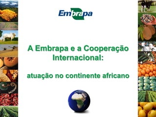 A Embrapa e a Cooperação
Internacional:
atuação no continente africano
 