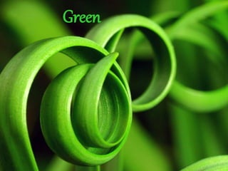 Green
 