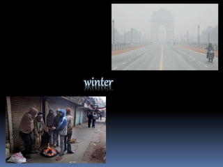Environment 4 geography project ppt.pptx