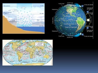 Environment 4 geography project ppt.pptx