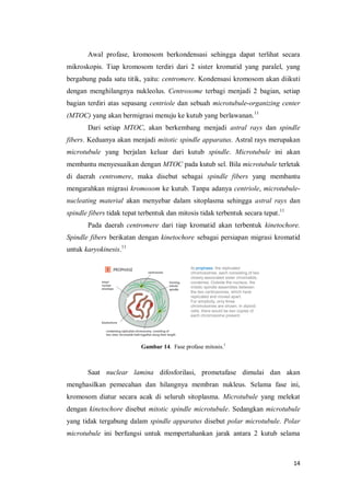 Sari pustaka siklus sel | PDF