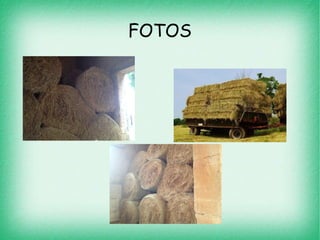 FOTOS
 
