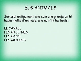 ELS ANIMALS
Sarissal antigament era com una granja on hi
havia molts d'animals, ara no n'hi ha tants.
EL CAVALL
LES GALLINES
ELS CANS
ELS MOIXOS
 