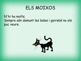 ELS MOIXOS
N'hi ha molts.
Sempre són damunt les bales i gairebé no els
puc veure.
 