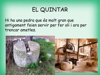EL QUINTAR
Hi ha una pedra que és molt gran que
antigament feien servir per fer oli i ara per
trencar ametles.
 