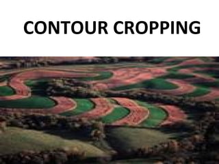 CONTOUR CROPPING
 