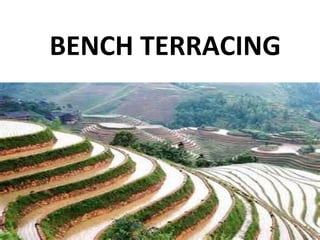 BENCH TERRACING
 