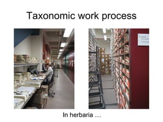 Taxonomy & food security