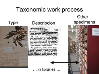 Taxonomy & food security
