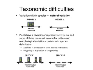 Taxonomy & food security