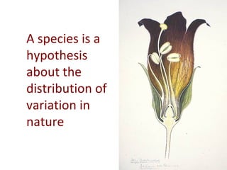 Taxonomy & food security