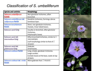 Taxonomy & food security