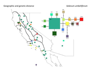 Taxonomy & food security