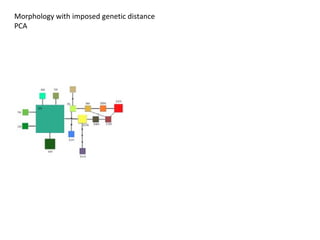 Taxonomy & food security