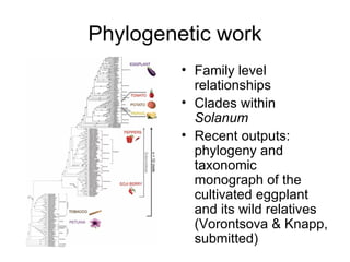 Taxonomy & food security