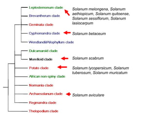Taxonomy & food security