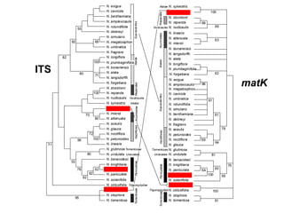 Taxonomy & food security
