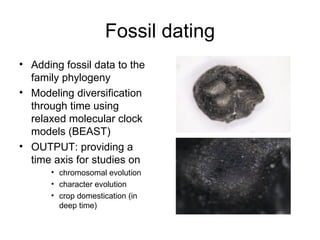 Taxonomy & food security