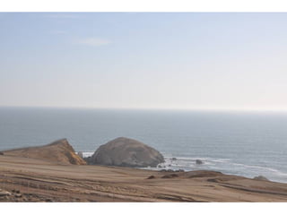 Taxonomy & food security