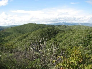 Taxonomy & food security