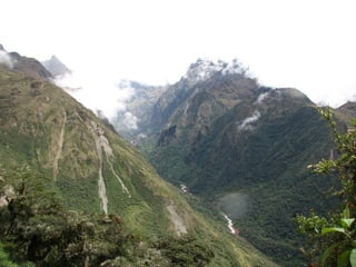 Taxonomy & food security