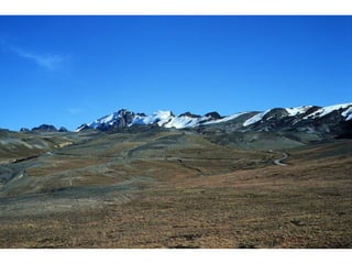 Taxonomy & food security