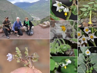 Taxonomy & food security