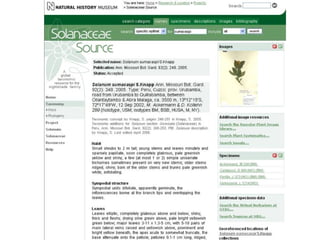 Taxonomy & food security