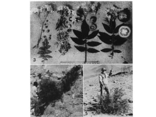 Taxonomy & food security