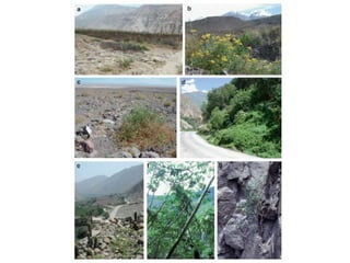 Taxonomy & food security