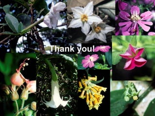 Taxonomy & food security