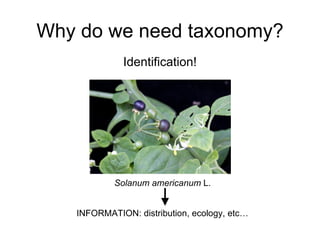 Taxonomy & food security