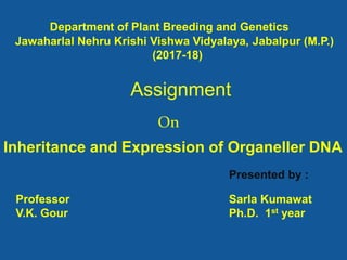 Department of Plant Breeding and Genetics
Jawaharlal Nehru Krishi Vishwa Vidyalaya, Jabalpur (M.P.)
(2017-18)
Assignment
On
Inheritance and Expression of Organeller DNA
Presented by :
Sarla Kumawat
Ph.D. 1st year
Professor
V.K. Gour
 