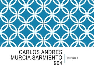 CARLOS ANDRES
MURCIA SARMIENTO
904
Proyecto 1
 