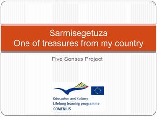 Sarmisegetuza
One of treasures from my country
Five Senses Project

 