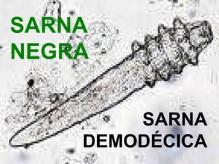 SARNA DEMODÉCICA SARNA NEGRA 