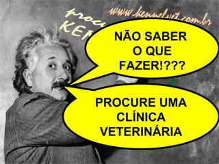 NÃO SABER  O QUE FAZER!??? PROCURE UMA CLÍNICA VETERINÁRIA 