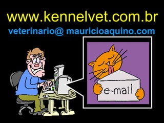 www.kennelvet.com.br veterinario@ mauricioaquino.com 