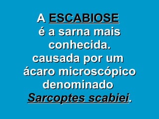 A  ESCABIOSE   é a sarna mais conhecida. causada por um  ácaro microscópico denominado  Sarcoptes scabiei . 