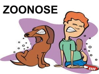 ZOONOSE 