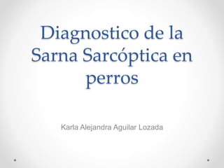 Diagnostico de la
Sarna Sarcóptica en
perros
Karla Alejandra Aguilar Lozada
 
